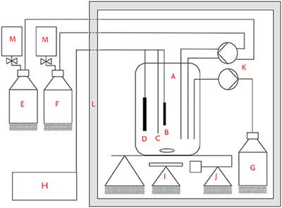 Concentration Pulse Method for the Investigation of Transformation Pathways in a Glycerol-Fed Bioelectrochemical System